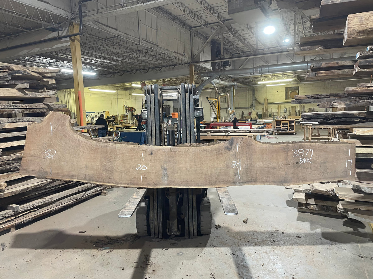BLACK WALNUT (3879) 161” L x 15"-24” W x 3”