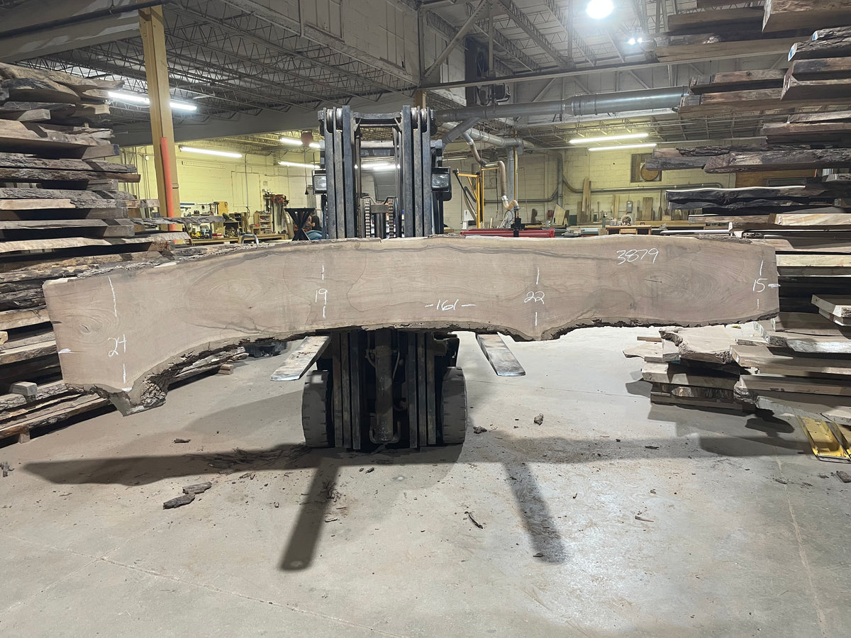 BLACK WALNUT (3879) 161” L x 15"-24” W x 3”