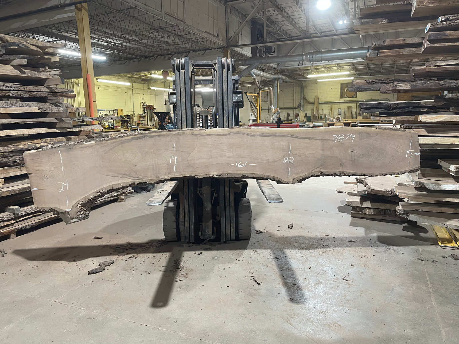 BLACK WALNUT (3879) 161” L x 15"-24” W x 3”