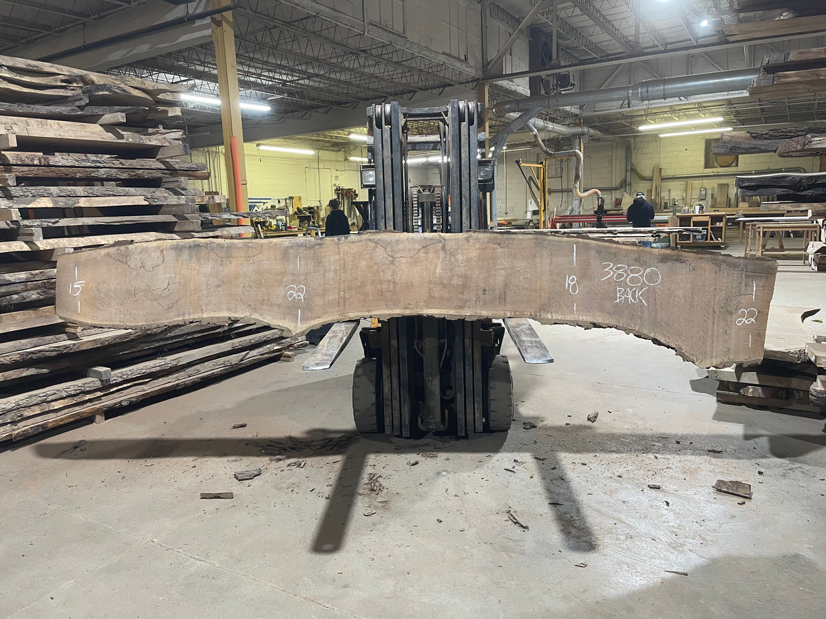BLACK WALNUT (3880) 162” L x 13"-18” W x 3"