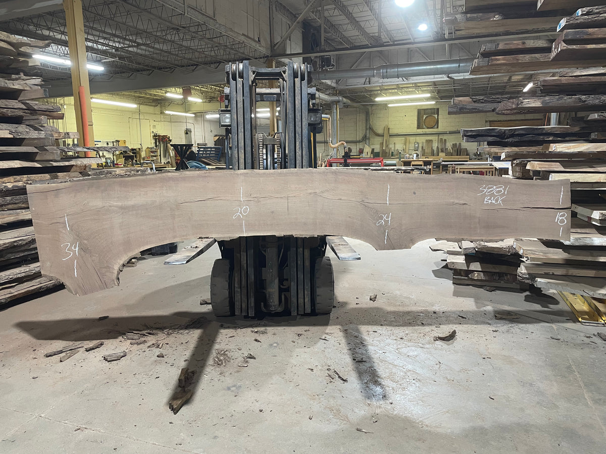 BLACK WALNUT (3881) 162” L x 17"-34” W x 3”