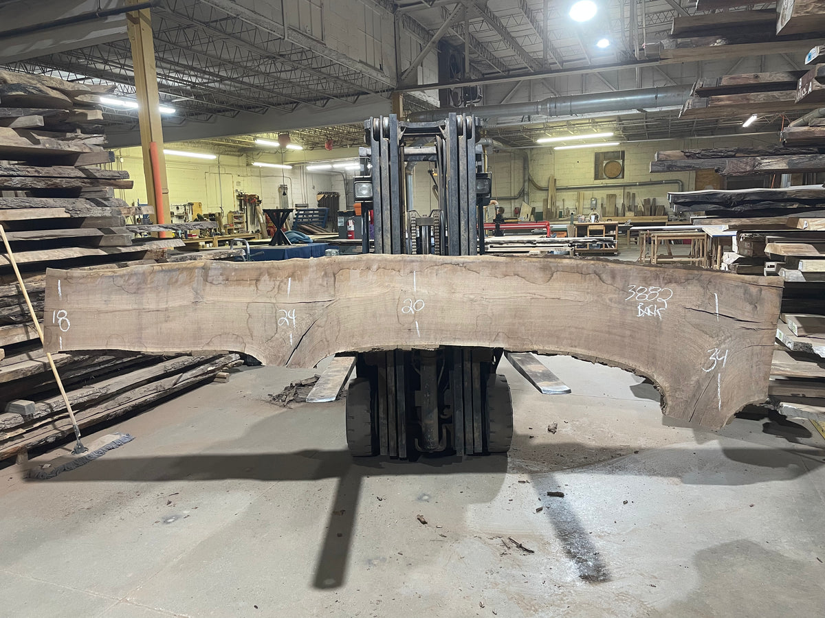 BLACK WALNUT (3882) 162” L x 18&quot;-32” W x 3”