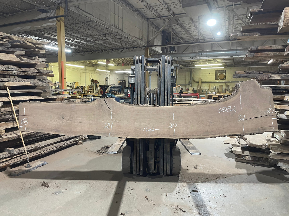 BLACK WALNUT (3882) 162” L x 18&quot;-32” W x 3”