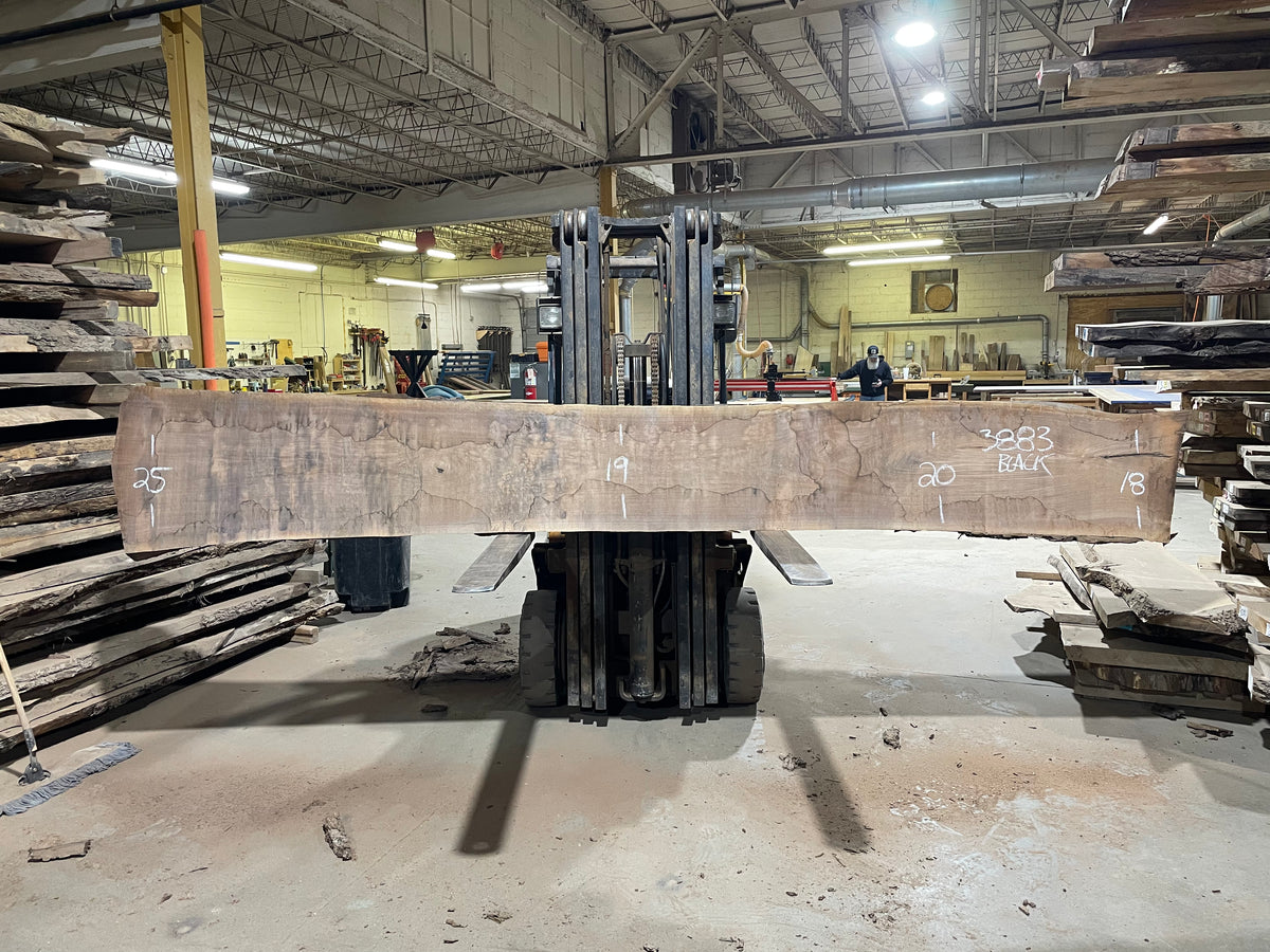 BLACK WALNUT (3883) 161” L x 17"-26” W x 2.5”