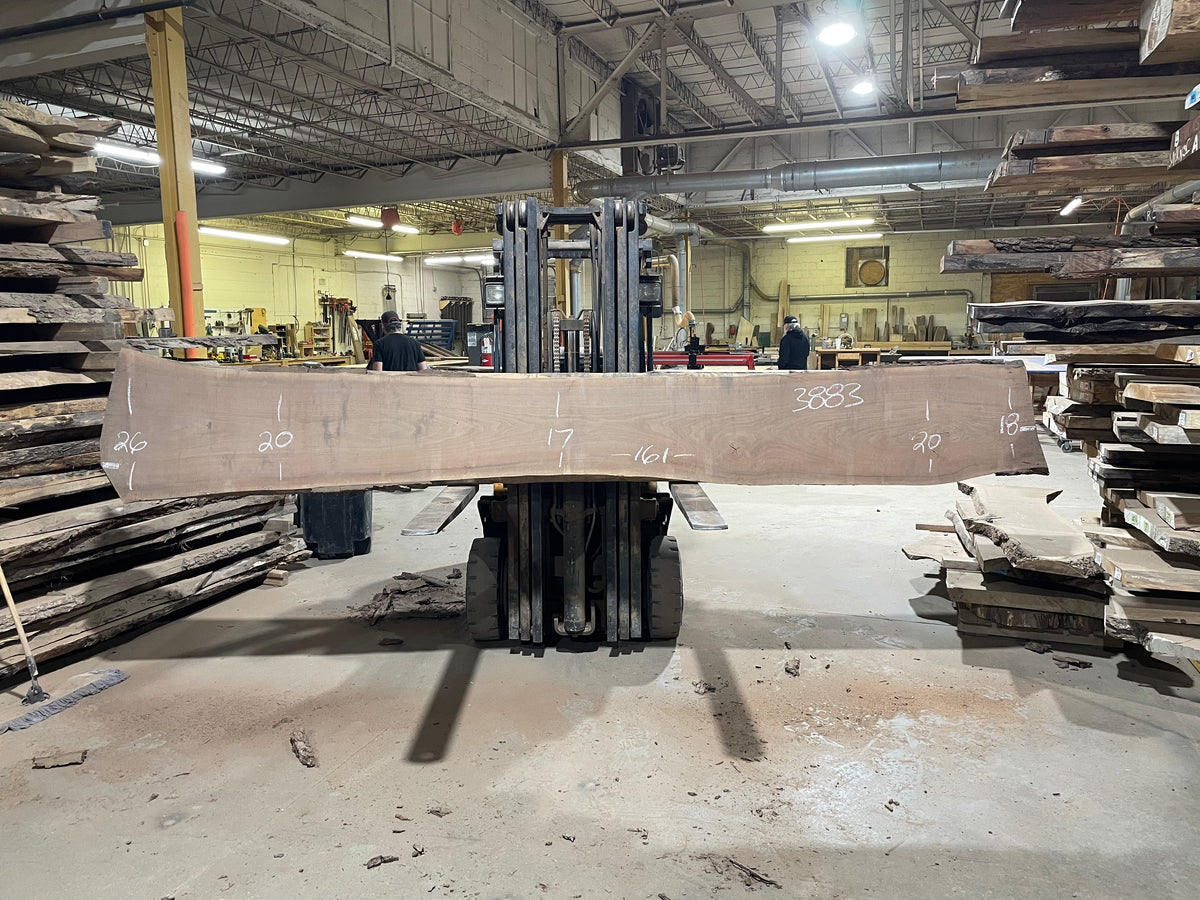 BLACK WALNUT (3883) 161” L x 17"-26” W x 2.5”
