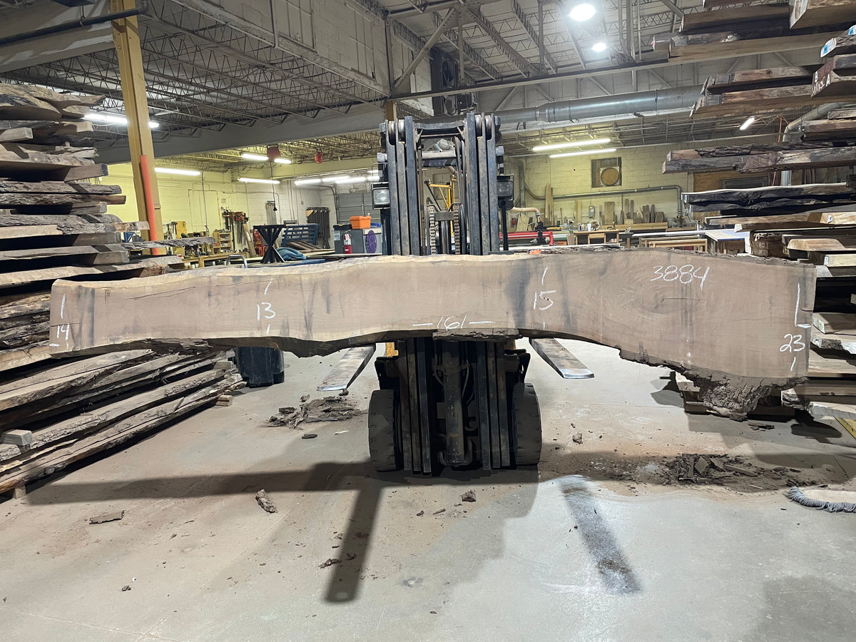 BLACK WALNUT (3884) 161” L x 13"-23” W x 2.5”