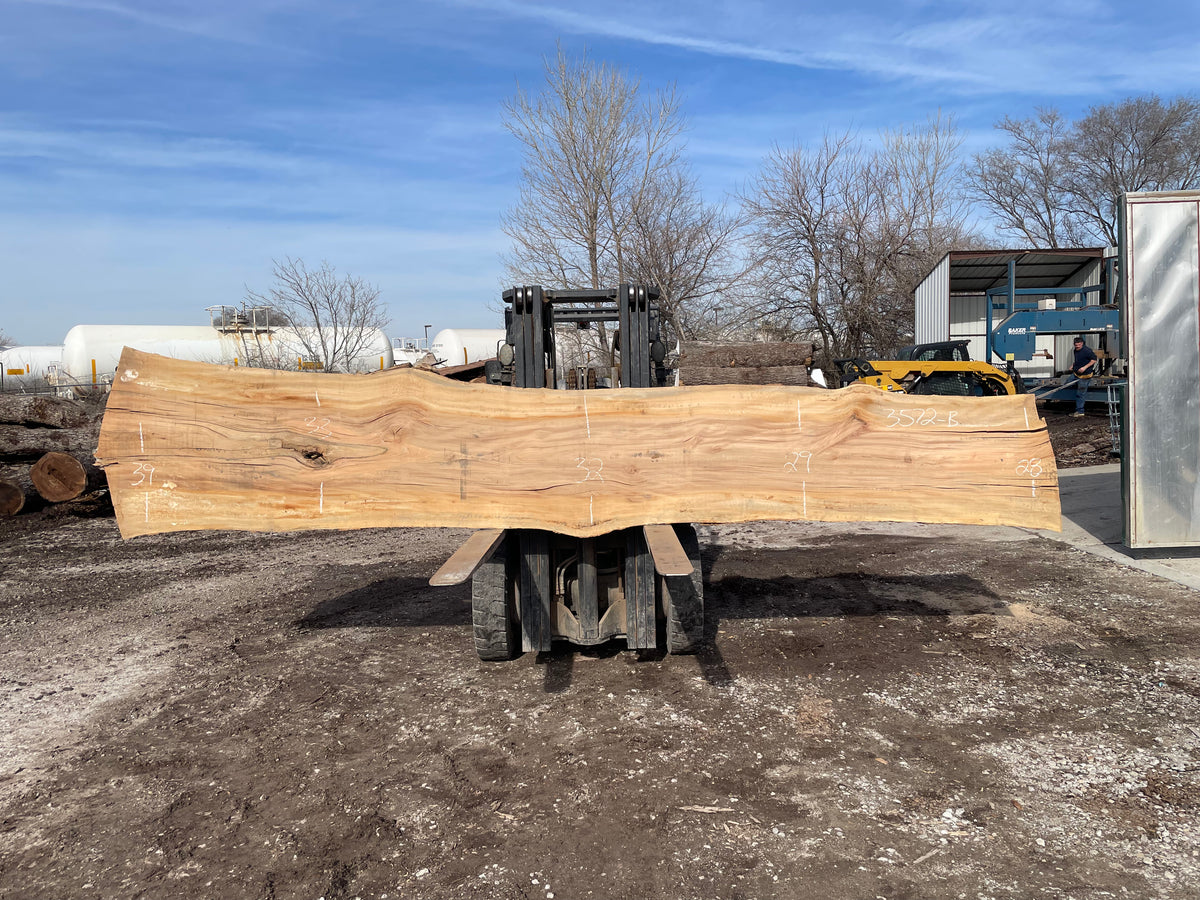 Sycamore (3572) 203” L x 29-38” W x 3” T