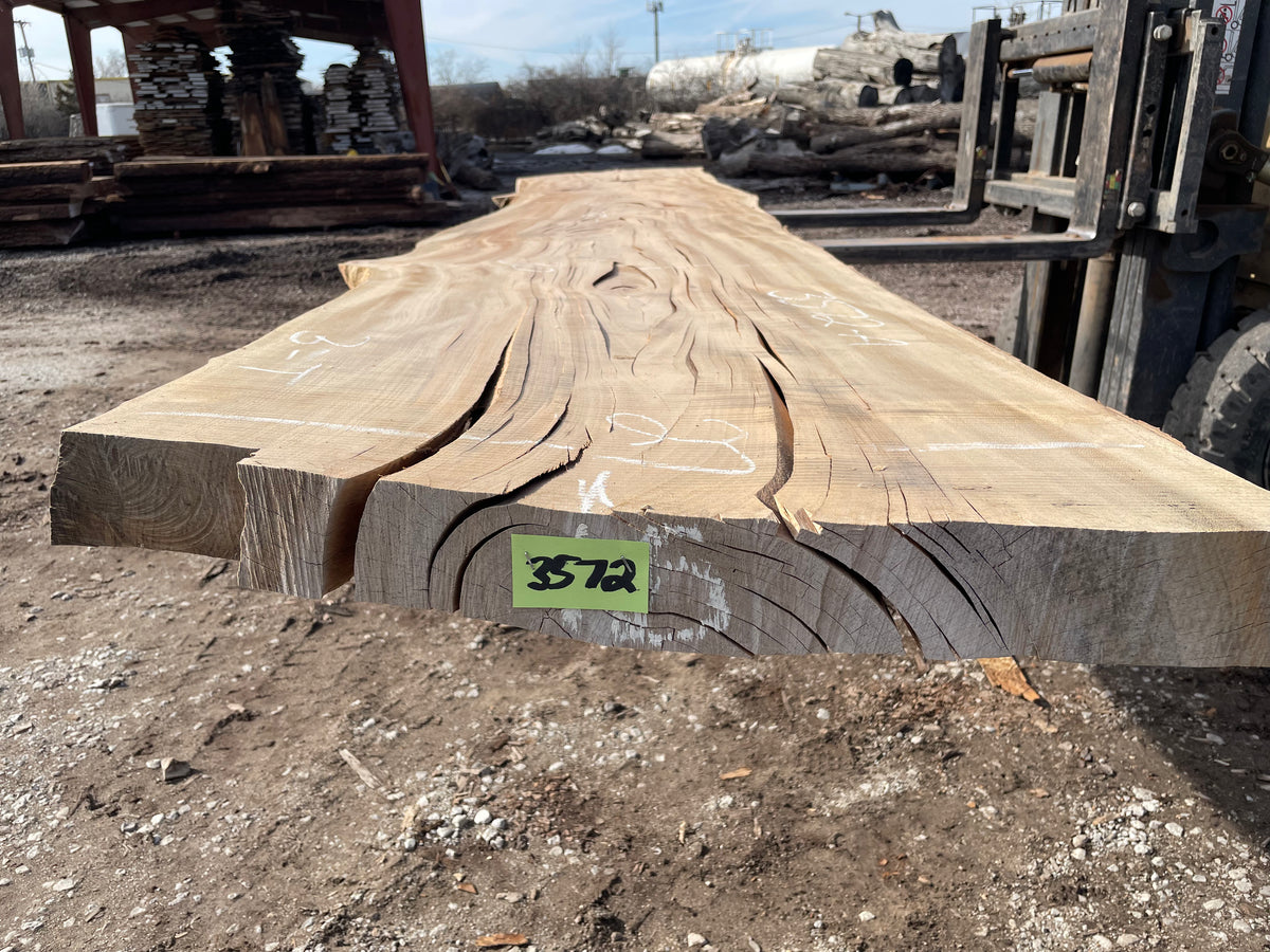 Sycamore (3572) 203” L x 29-38” W x 3” T