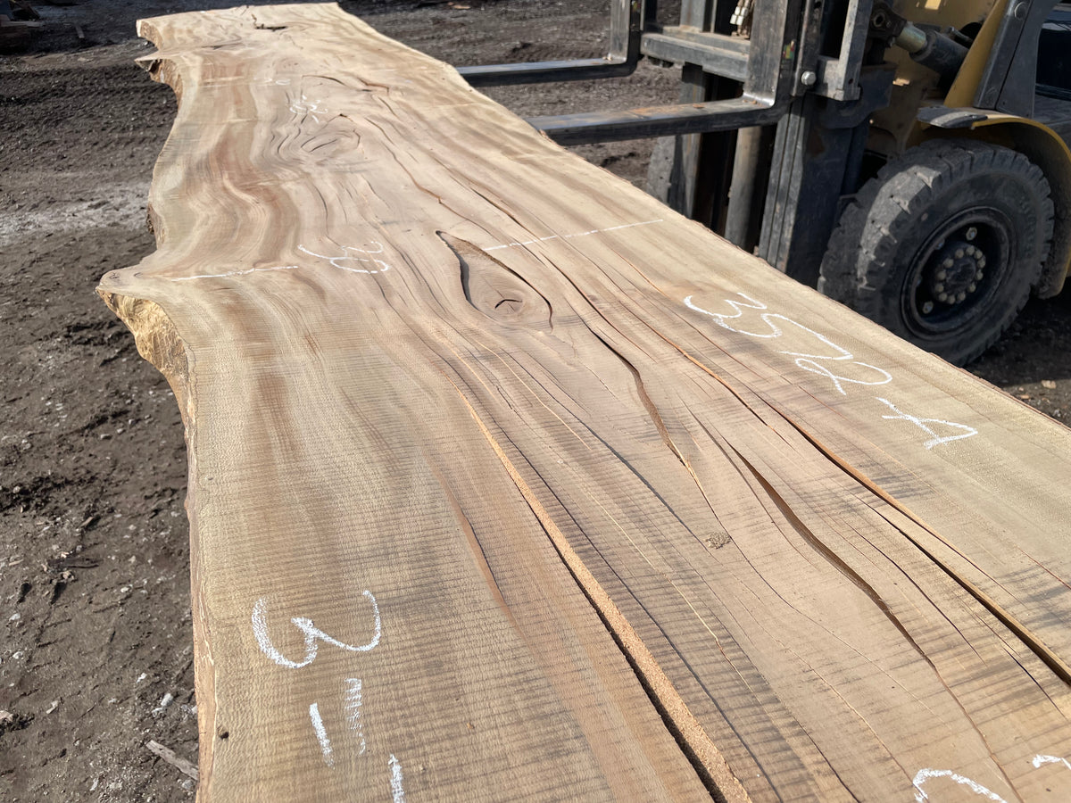 Sycamore (3572) 203” L x 29-38” W x 3” T