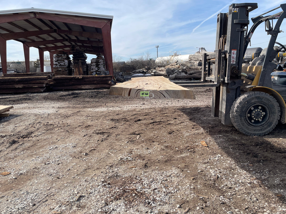 Sycamore (3572) 203” L x 29-38” W x 3” T