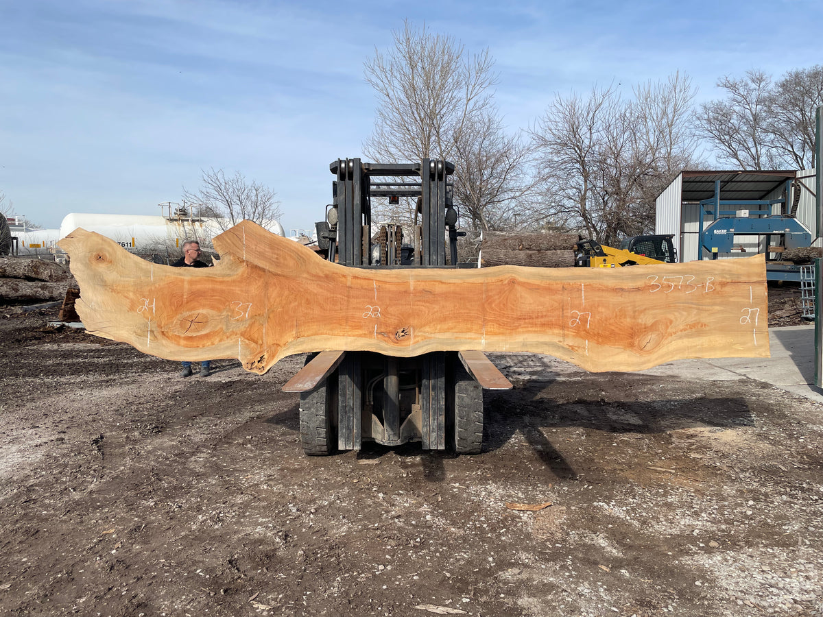 Sycamore (3573) 173” L x 17-38” W x 2.5” T