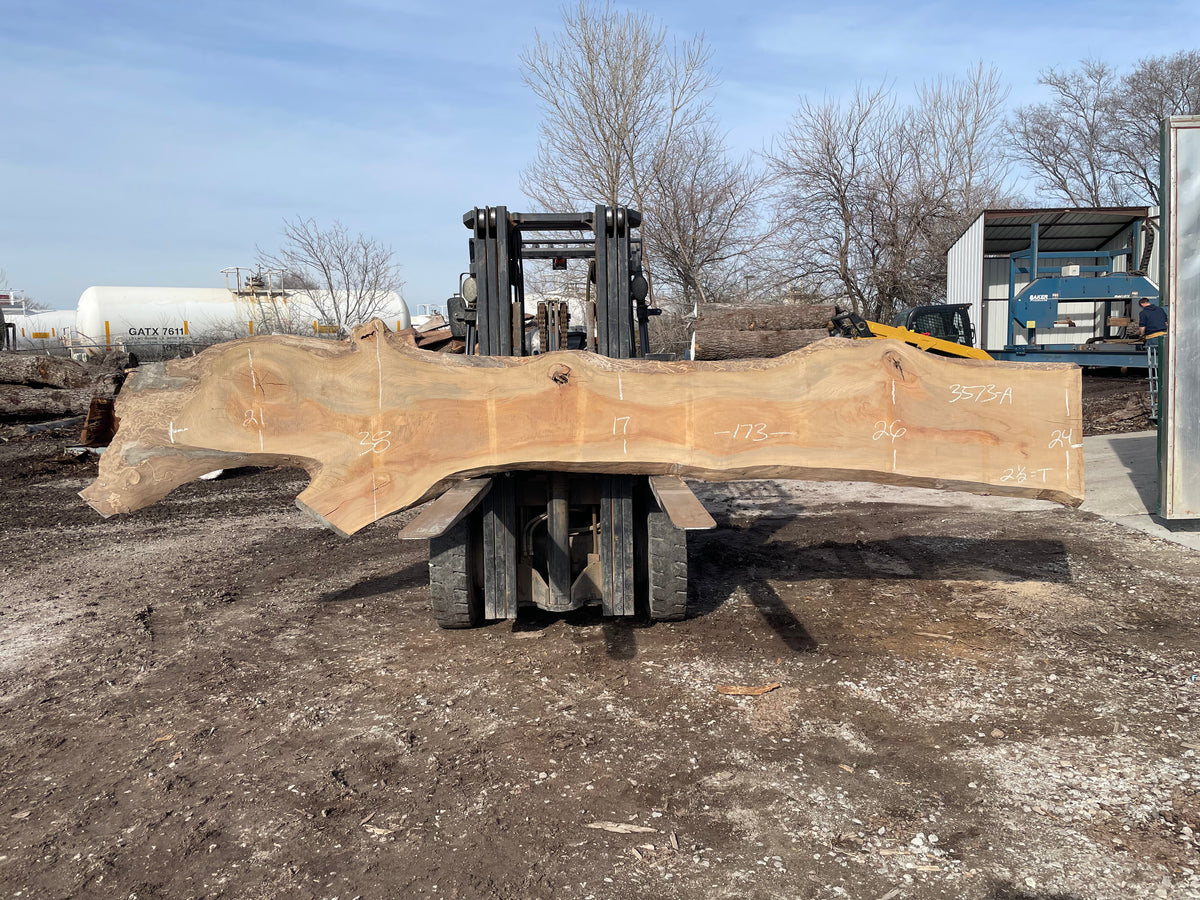 Sycamore (3573) 173” L x 17-38” W x 2.5” T
