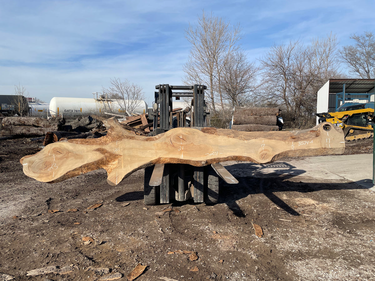 Sycamore (3574) 211” L x 5-28” W x 3” T