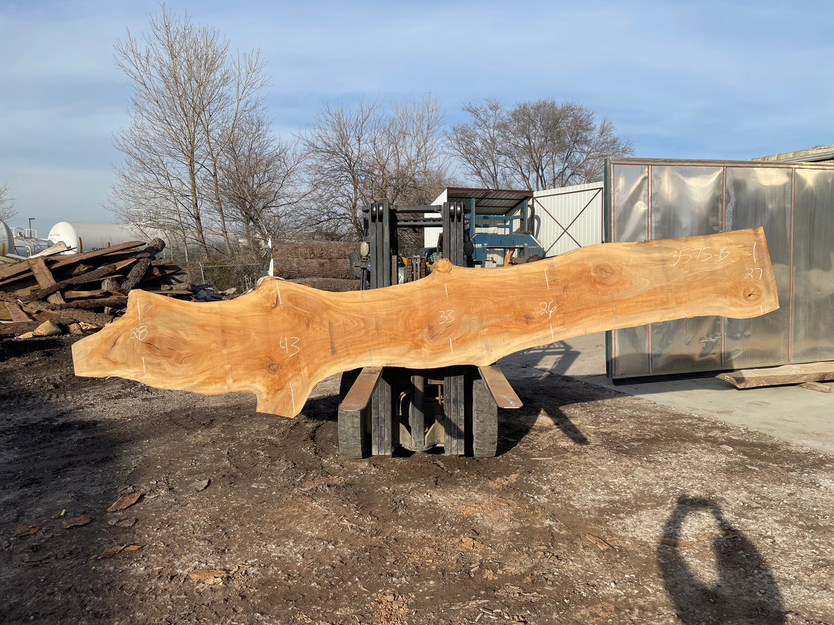 Sycamore (3575) 214” L x 19-44” W x 3” T