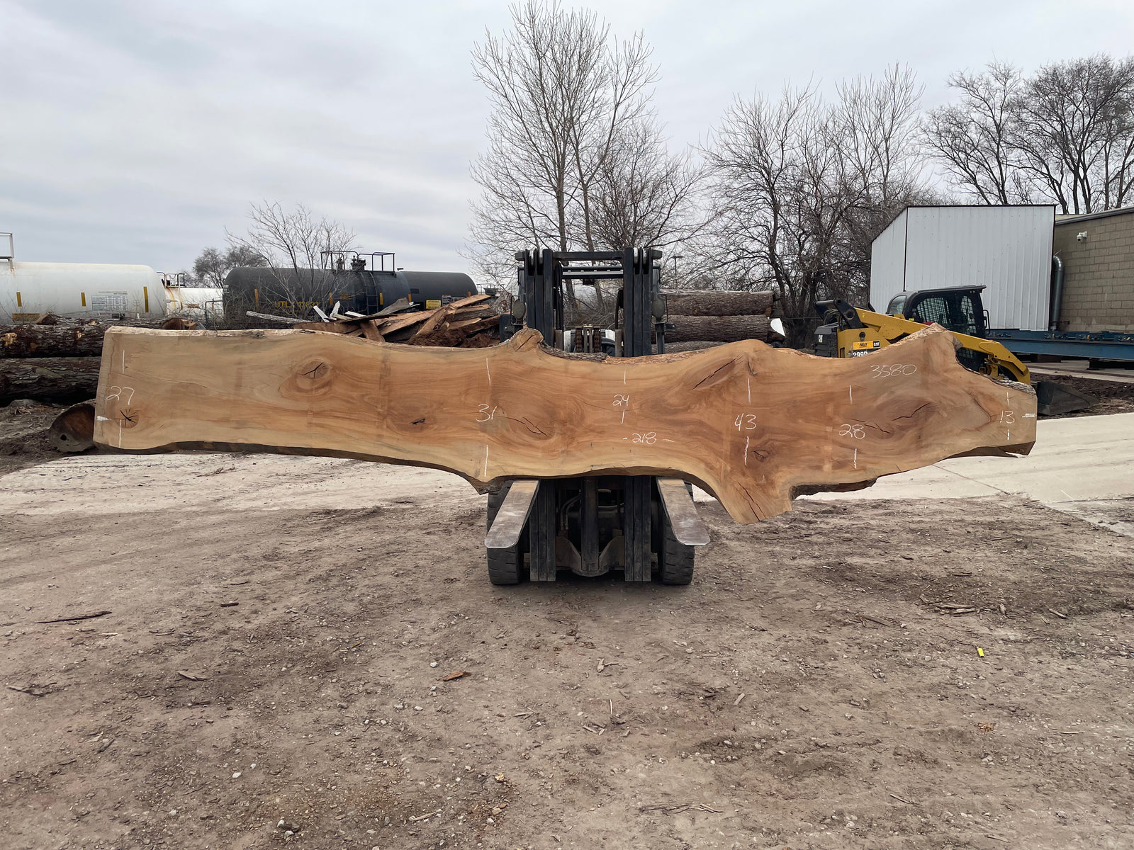 Sycamore (3580) 218” L x 13-43” W x 3” T