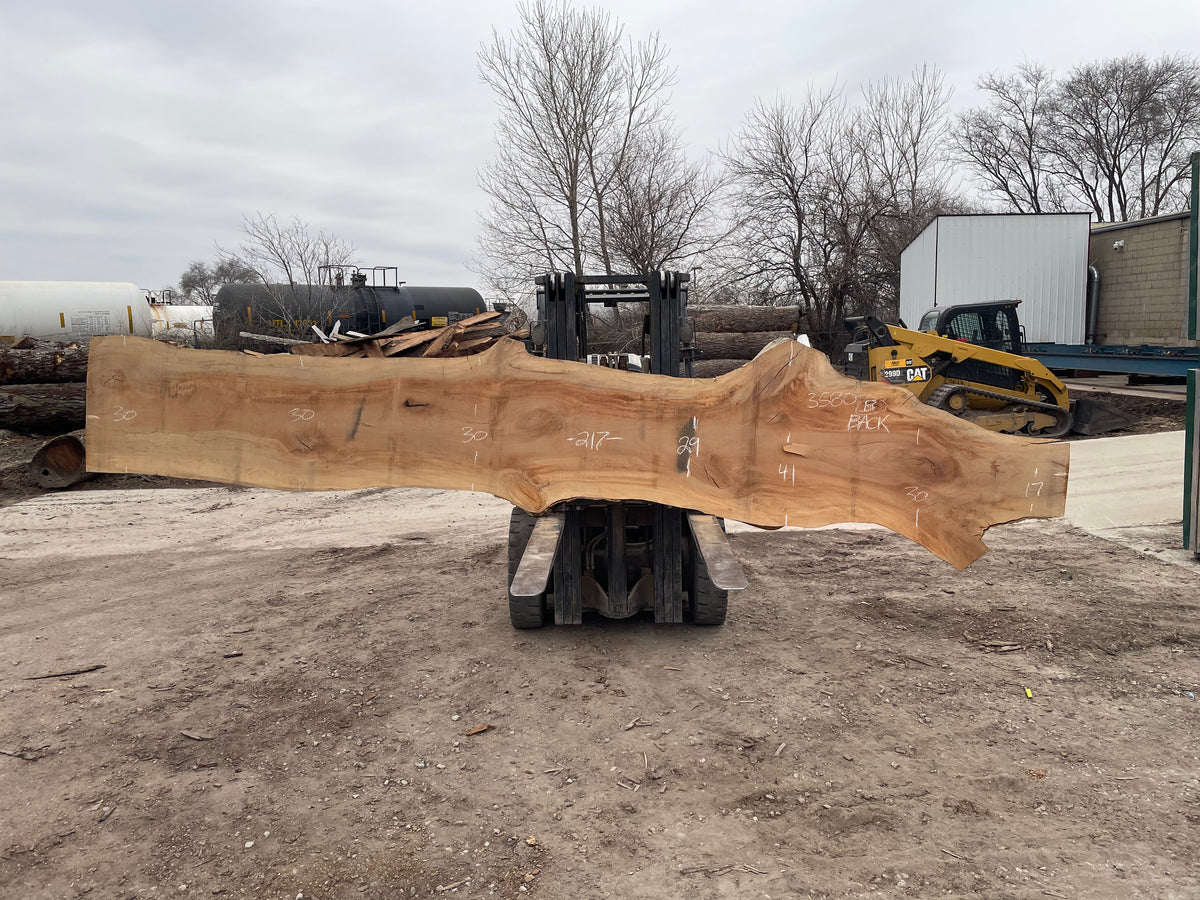 Sycamore (3580) 218” L x 13-43” W x 3” T