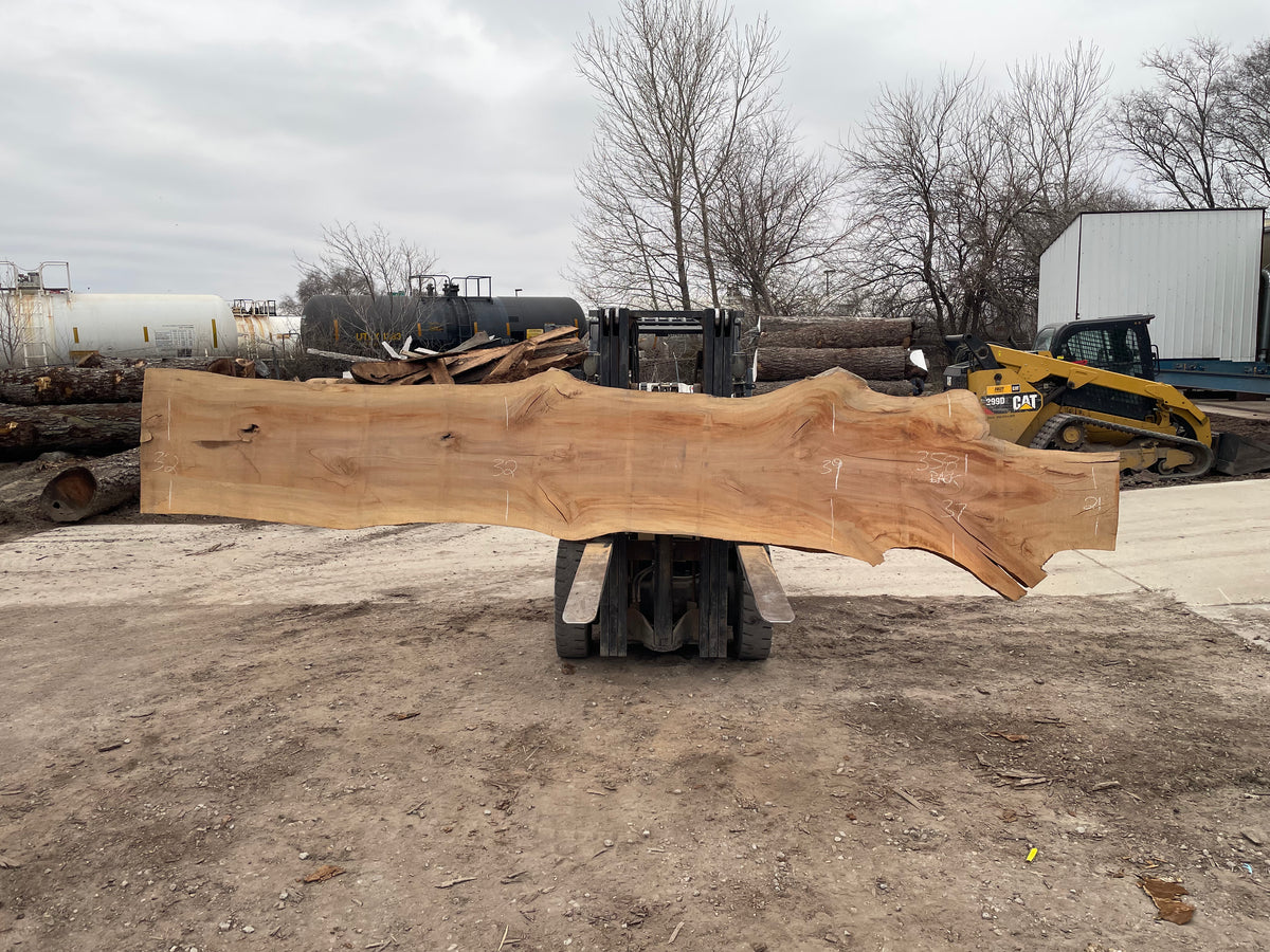 Sycamore (3581) 217” L x 17-41” W x 3” T