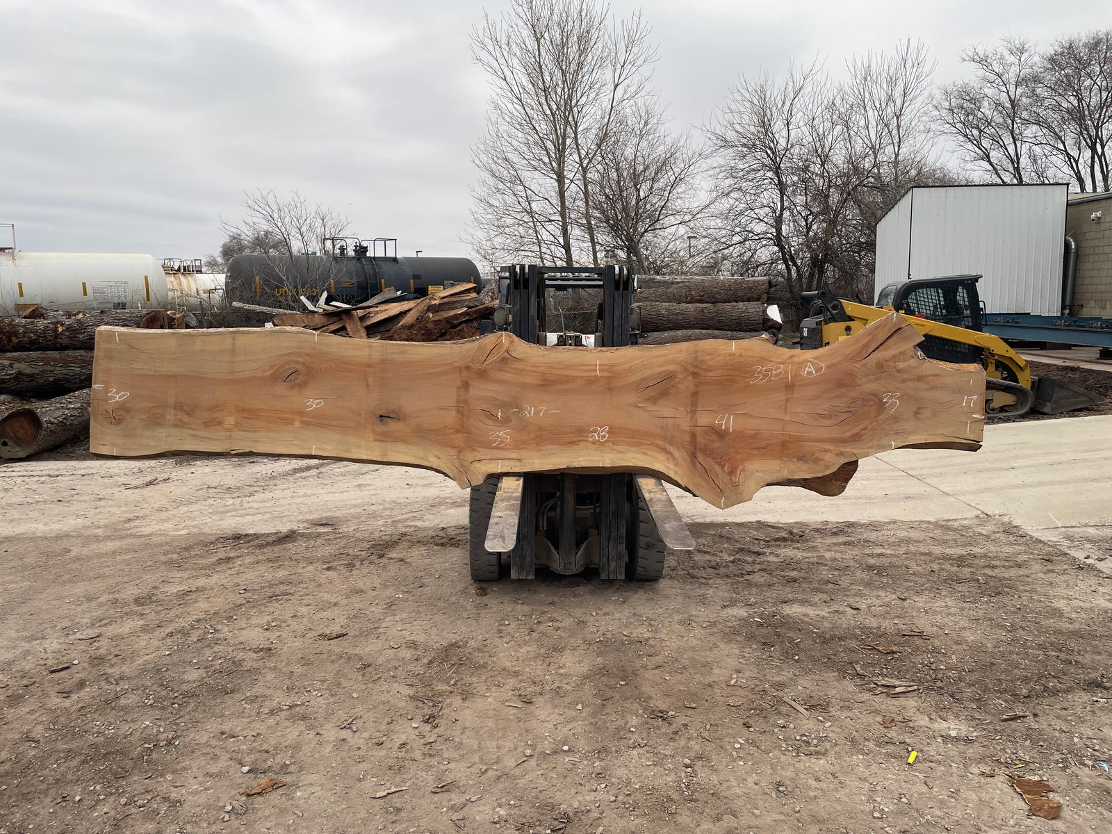 Sycamore (3581) 217” L x 17-41” W x 3” T