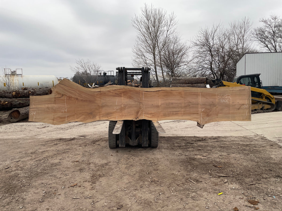 Sycamore (3582) 216” L x 24-42” W x 3” T