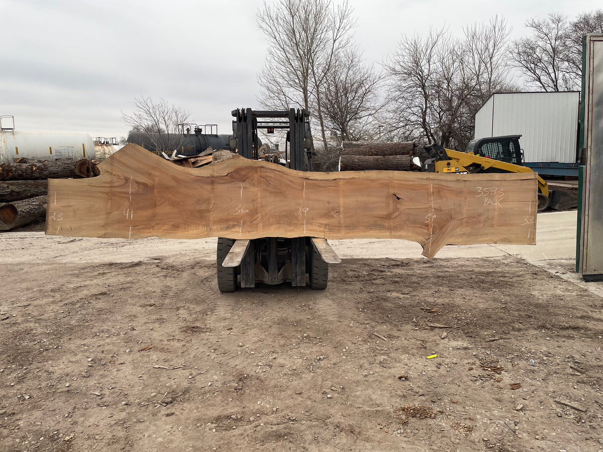 Sycamore (3583) 216” L x 23-34” W x 3” T