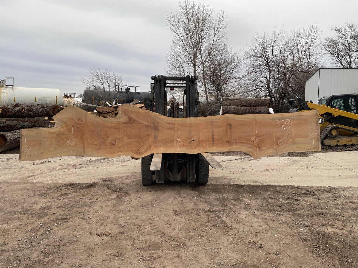 Sycamore (3584) 216” L x 18-37” W x 3” T