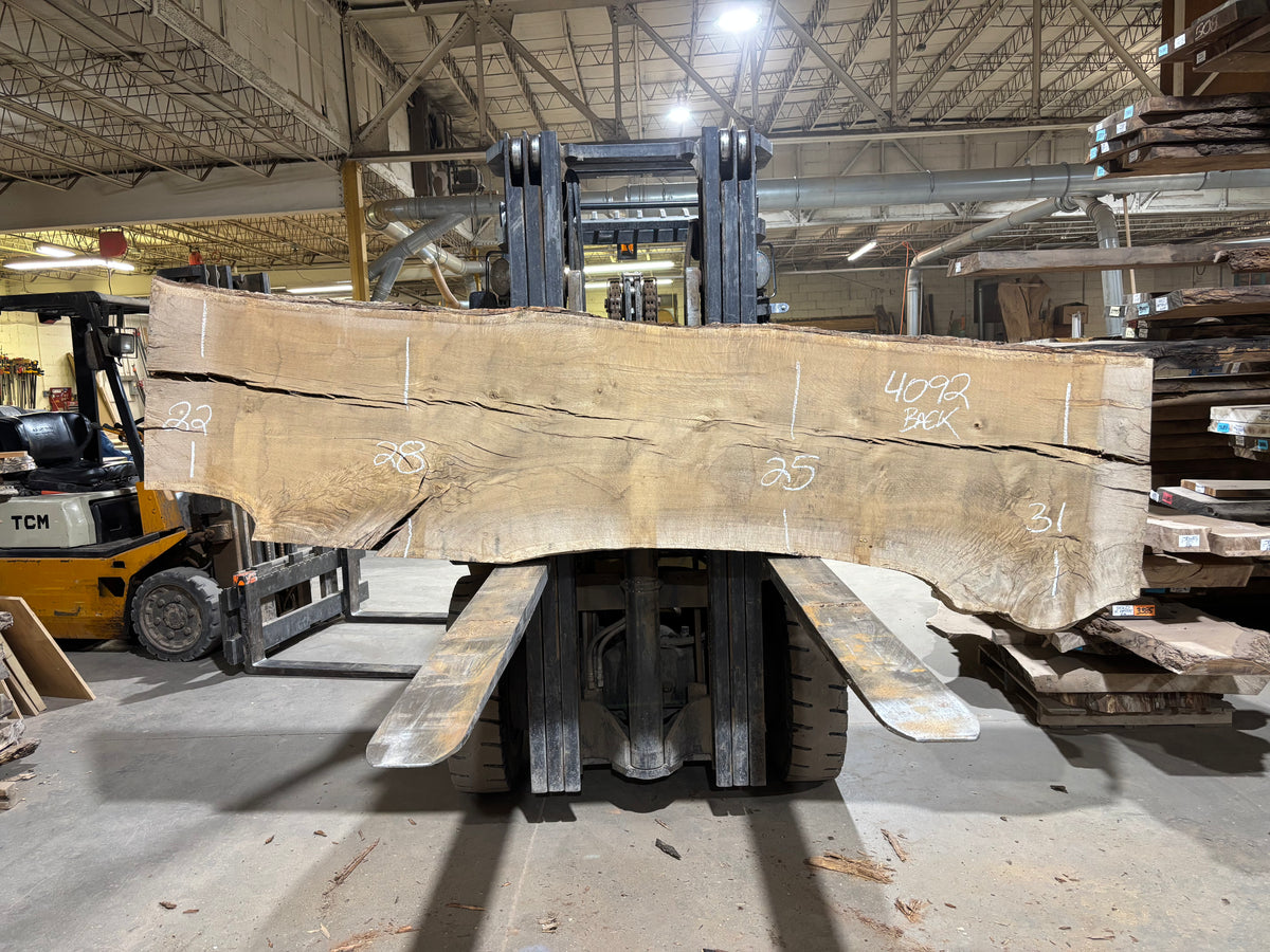 White Oak (4092)  114” L x 22-32” W x 3.25” T