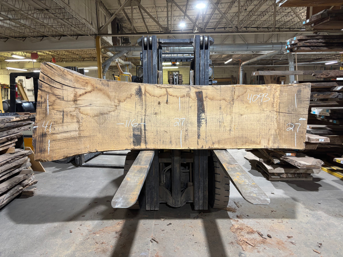 White Oak (4093)  116” L x 27-41” W x 3.25” T