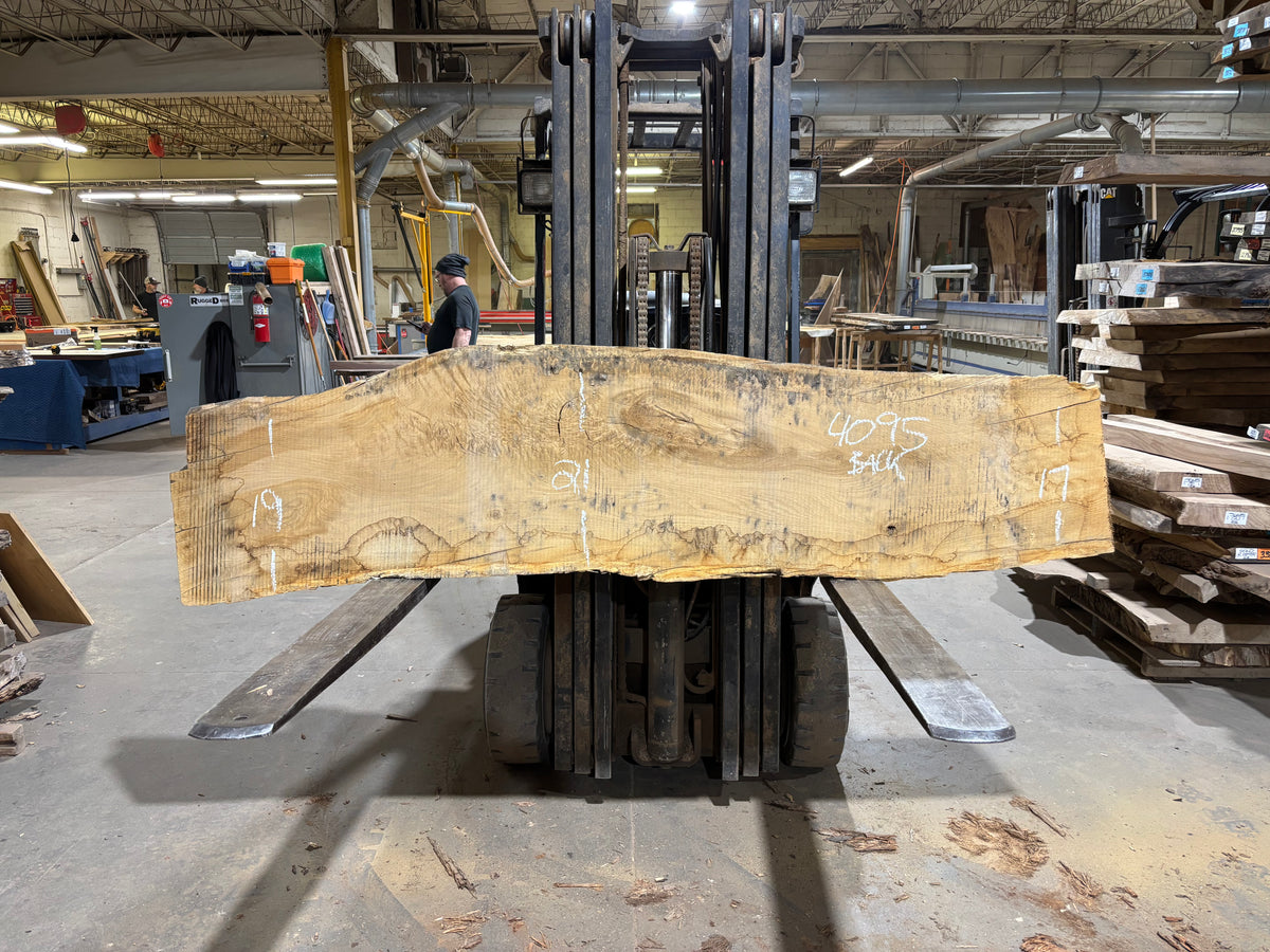 White Oak (4095)  73” L x 10-16” W x 3.5” T