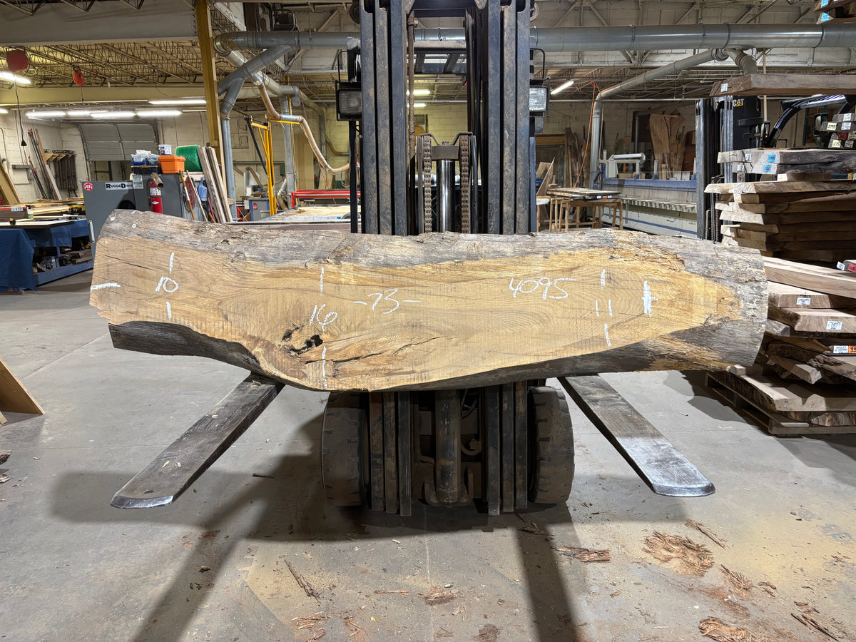 White Oak (4095)  73” L x 10-16” W x 3.5” T