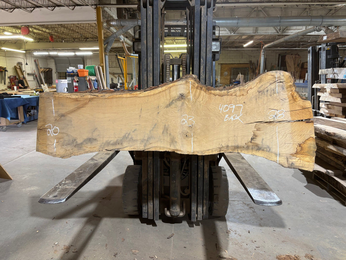 White Oak (4097)  79” L x 7-24” W x 3.5” T