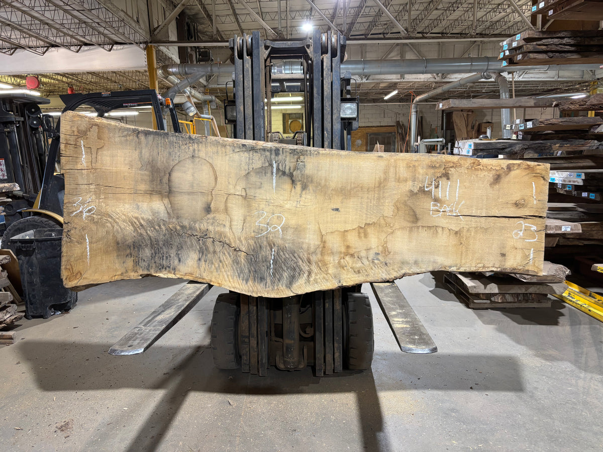 White Oak (4111)  103” L x 23-37” W x 3.5” T