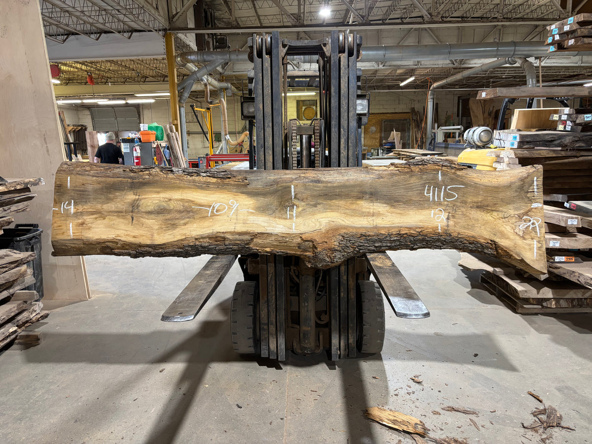 White Oak (4115)  109” L x 8-22” W x 2.75” T