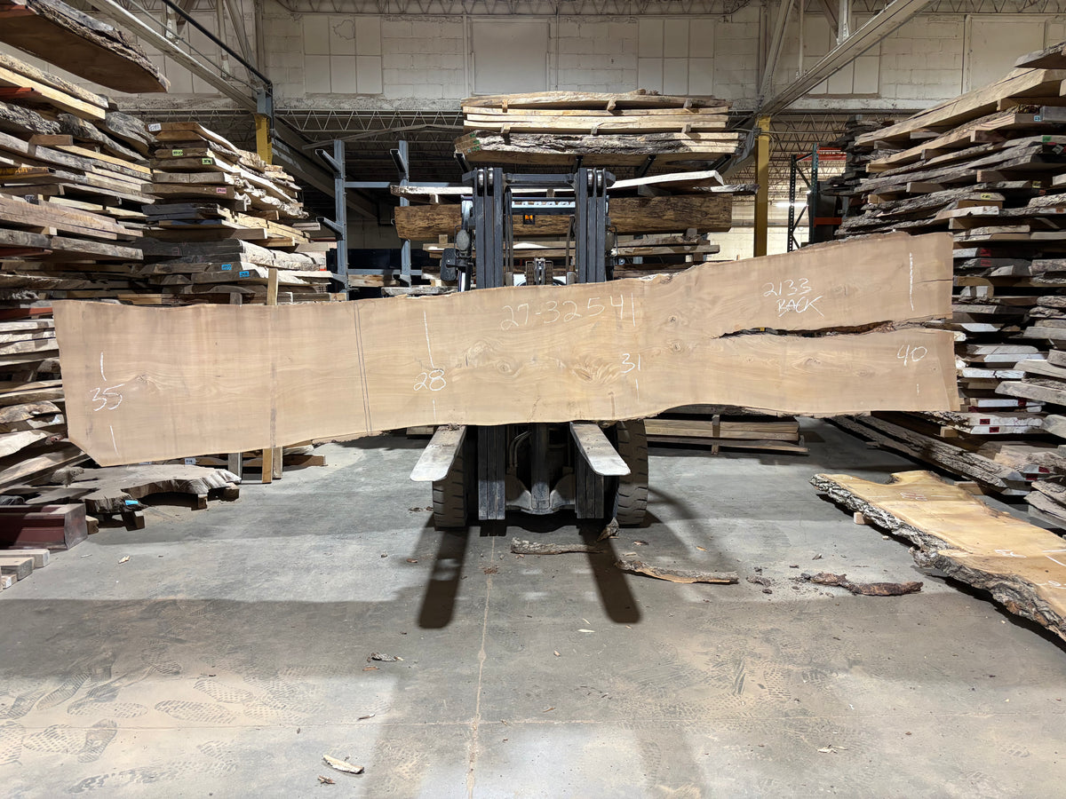 Siberian Elm (2133) 198” L x 27-37” W x 3” T