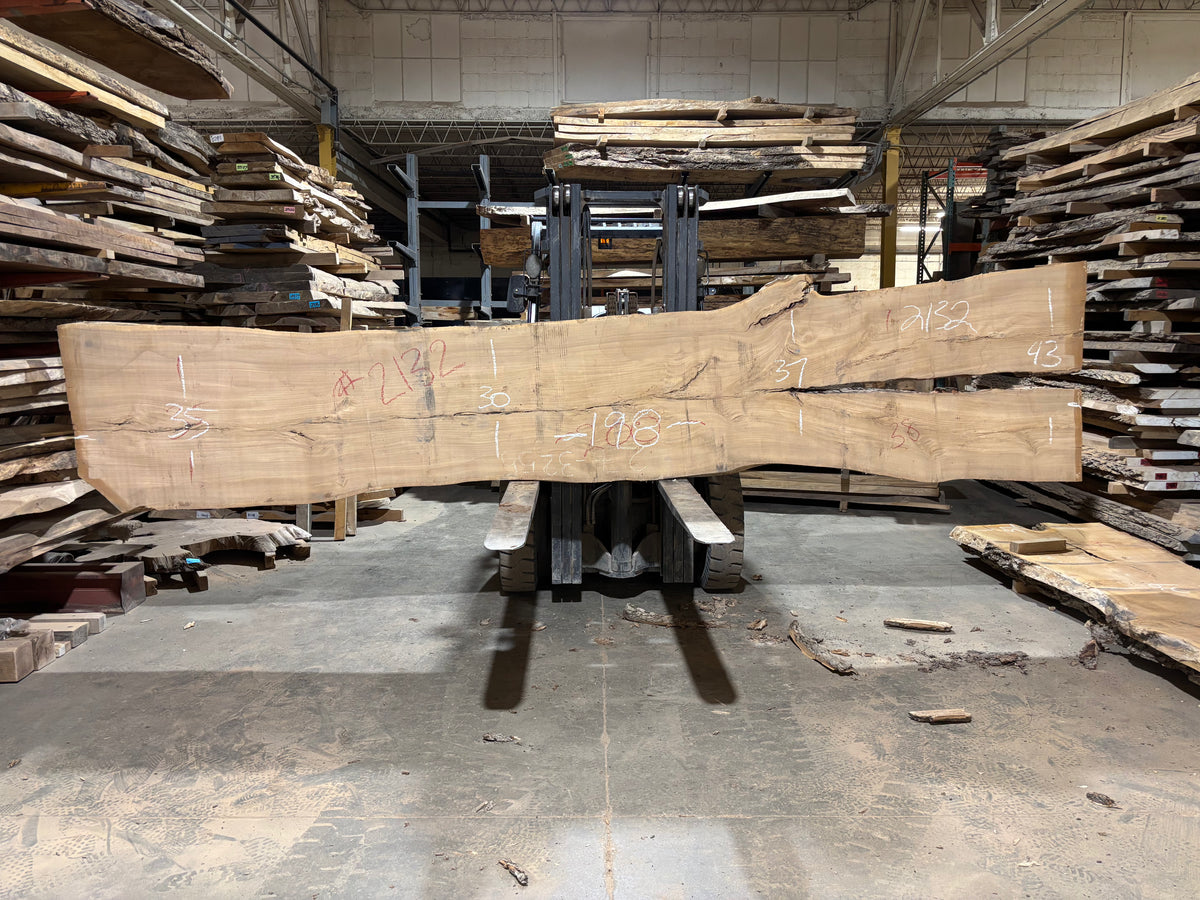 Siberian Elm (2132) 198” L x 30-43” W x 3” T