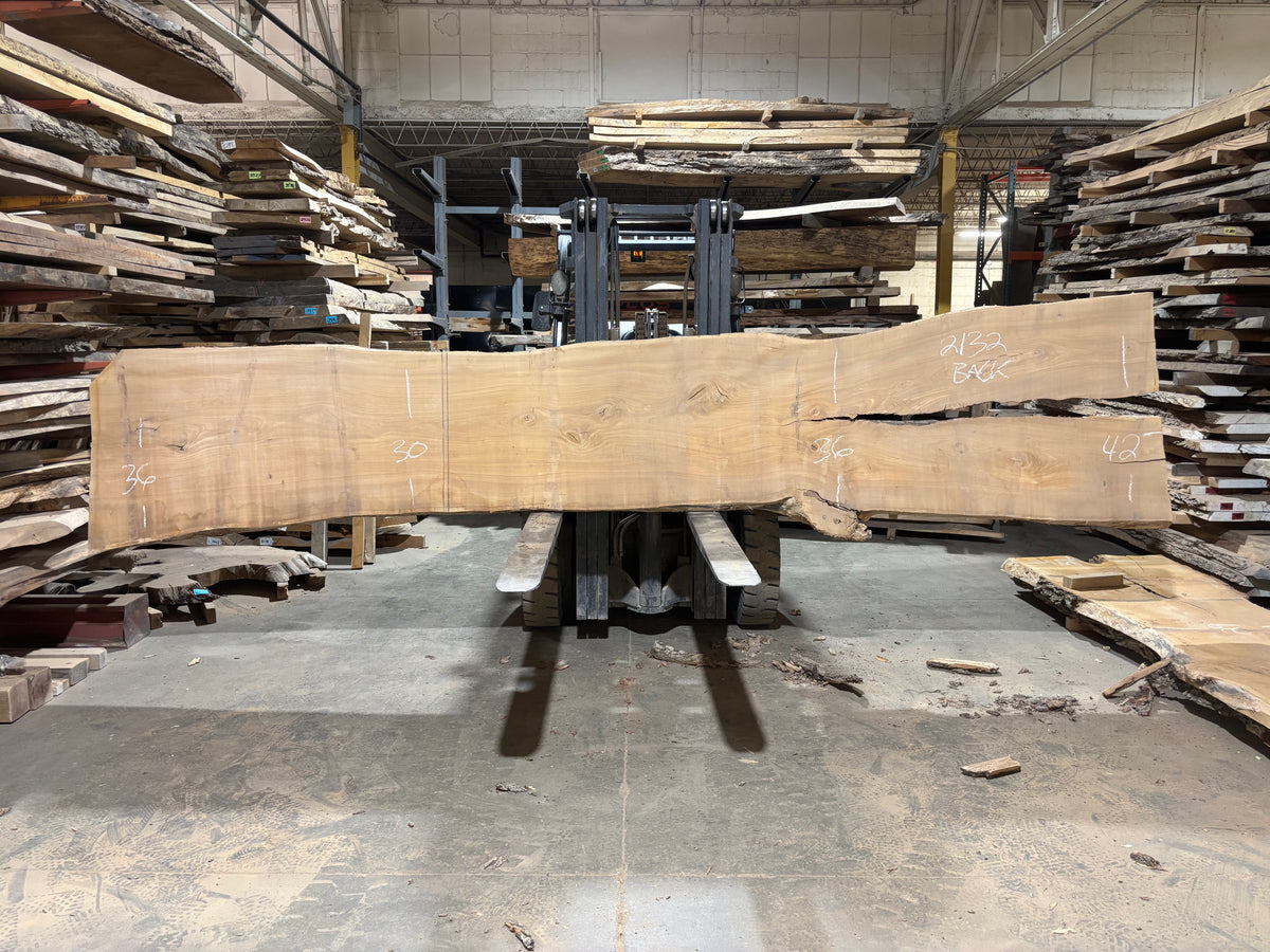 Siberian Elm (2132) 198” L x 30-43” W x 3” T