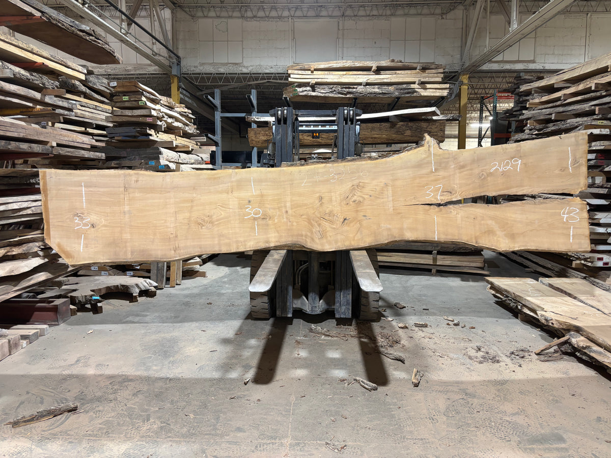 Siberian Elm (2129) 199” L x 30-43” W x 3” T