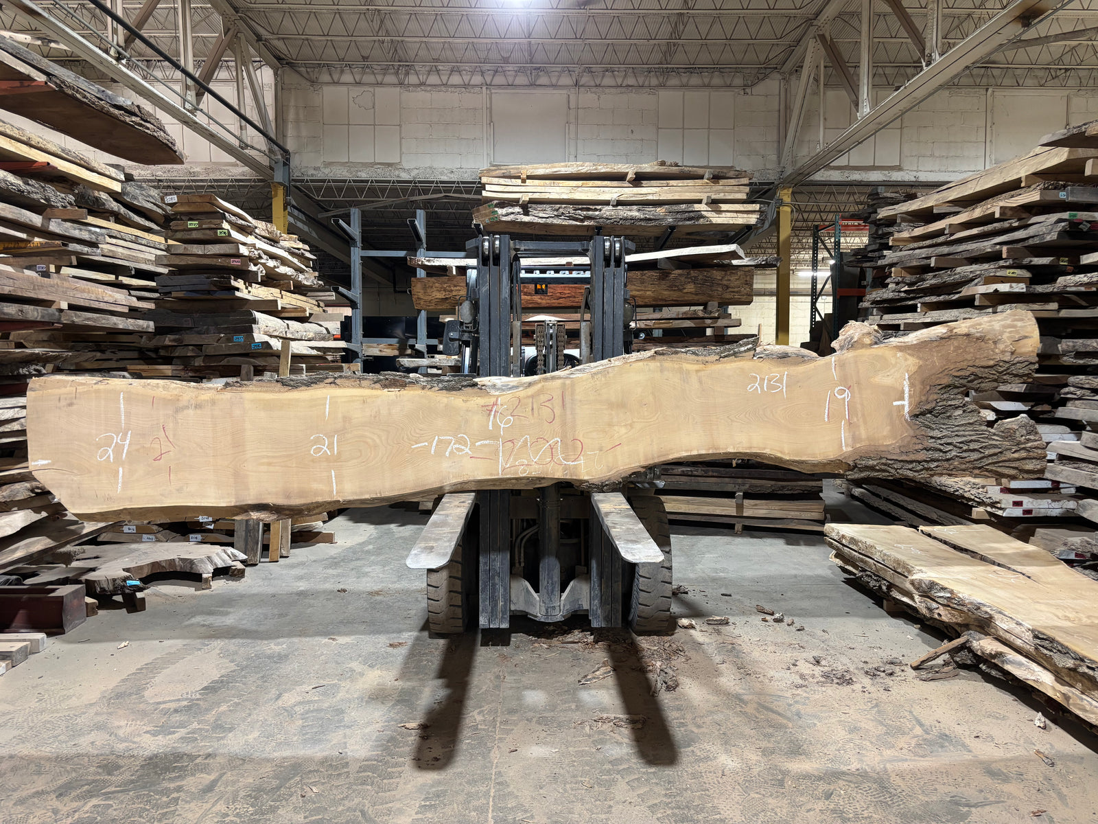 Siberian Elm (2131) 172” L x 16-24” W x 3” T