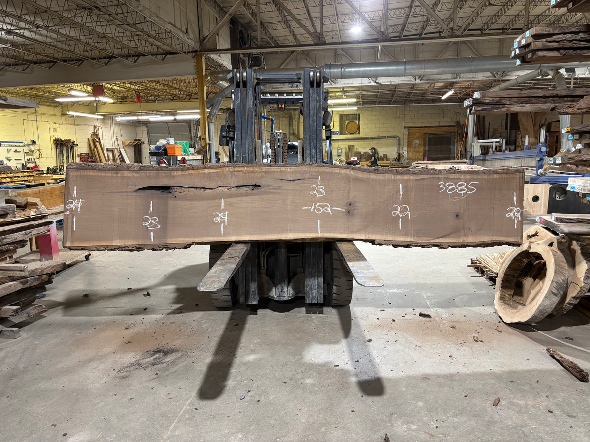 BLACK WALNUT (3885) 152” L x 22"-24” W x 2.75”