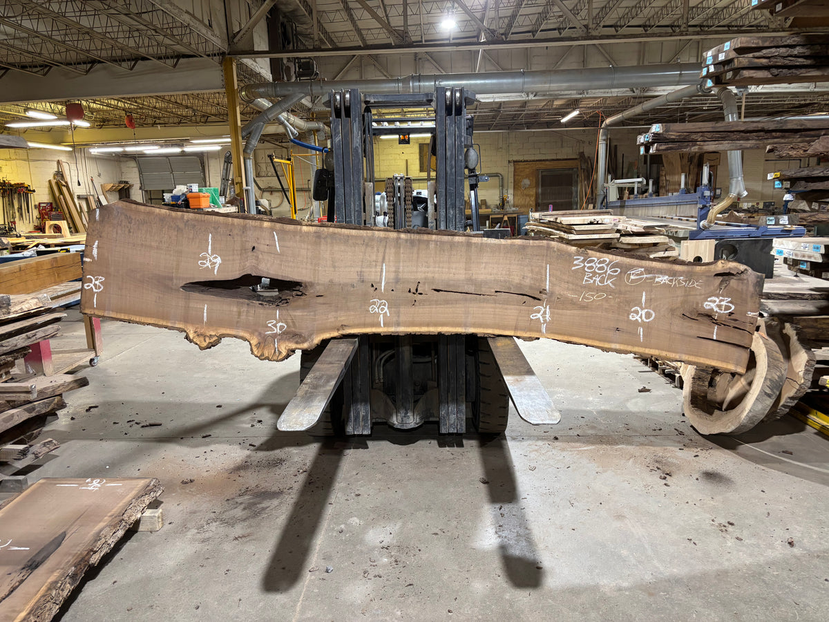 BLACK WALNUT (3886) 150” L x 18&quot;-28” W x 3”