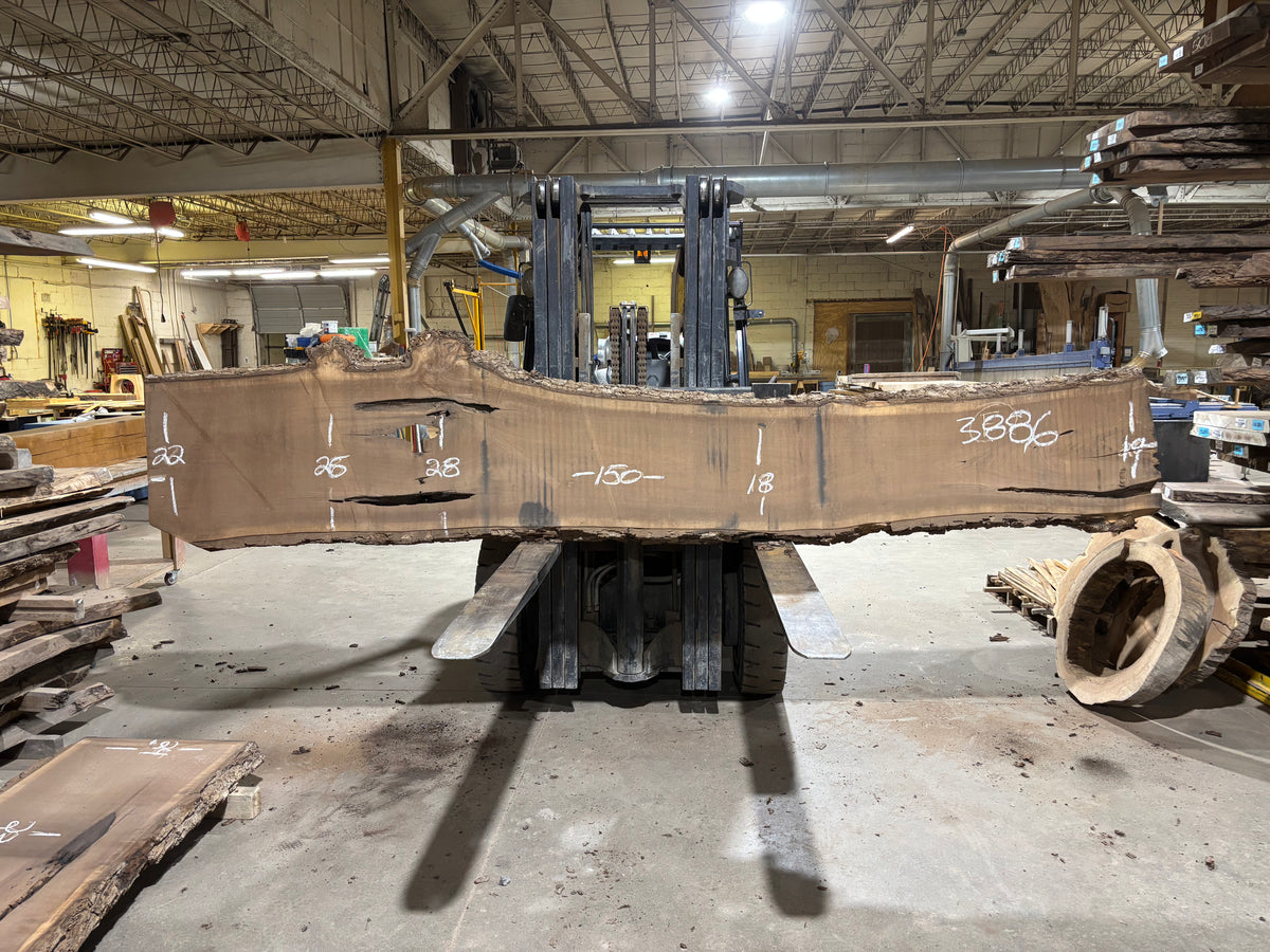 BLACK WALNUT (3886) 150” L x 18&quot;-28” W x 3”