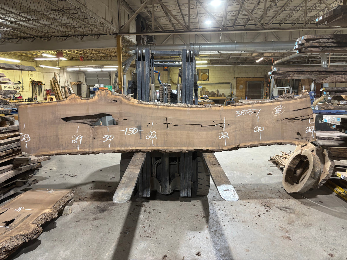 BLACK WALNUT (3887) 150” L x 20"-30” W x 3”