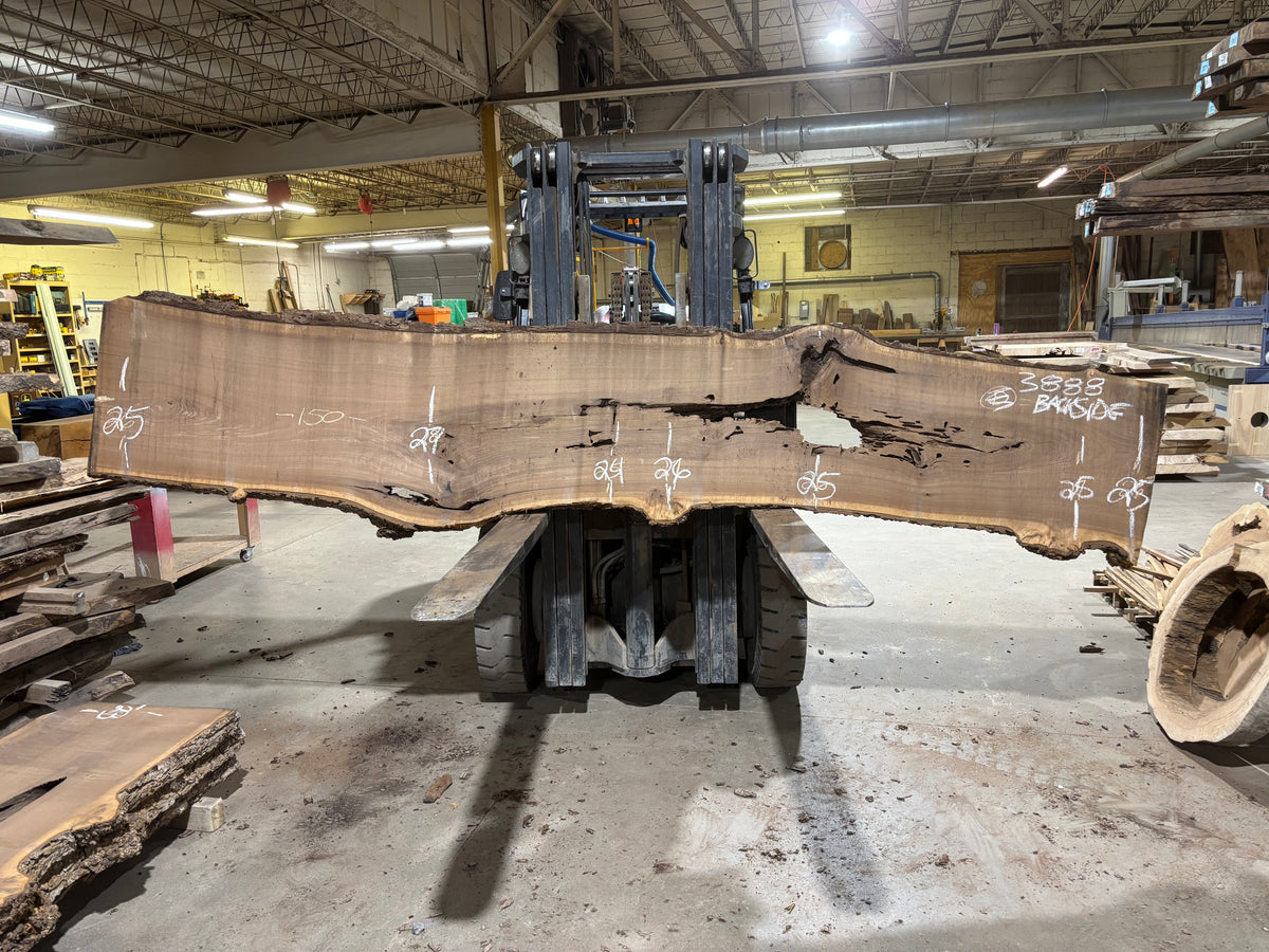BLACK WALNUT (3888) 150” L x 23"-29” W x 3”