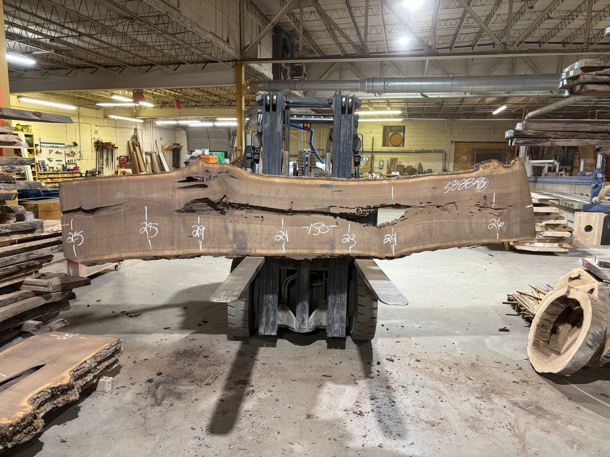BLACK WALNUT (3888) 150” L x 23"-29” W x 3”