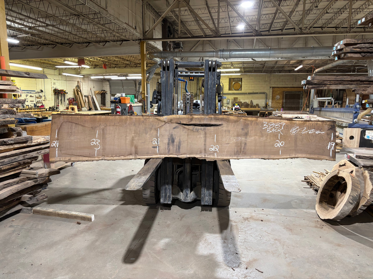 BLACK WALNUT (3889) 150” L x 11&quot;-20” W x 3”