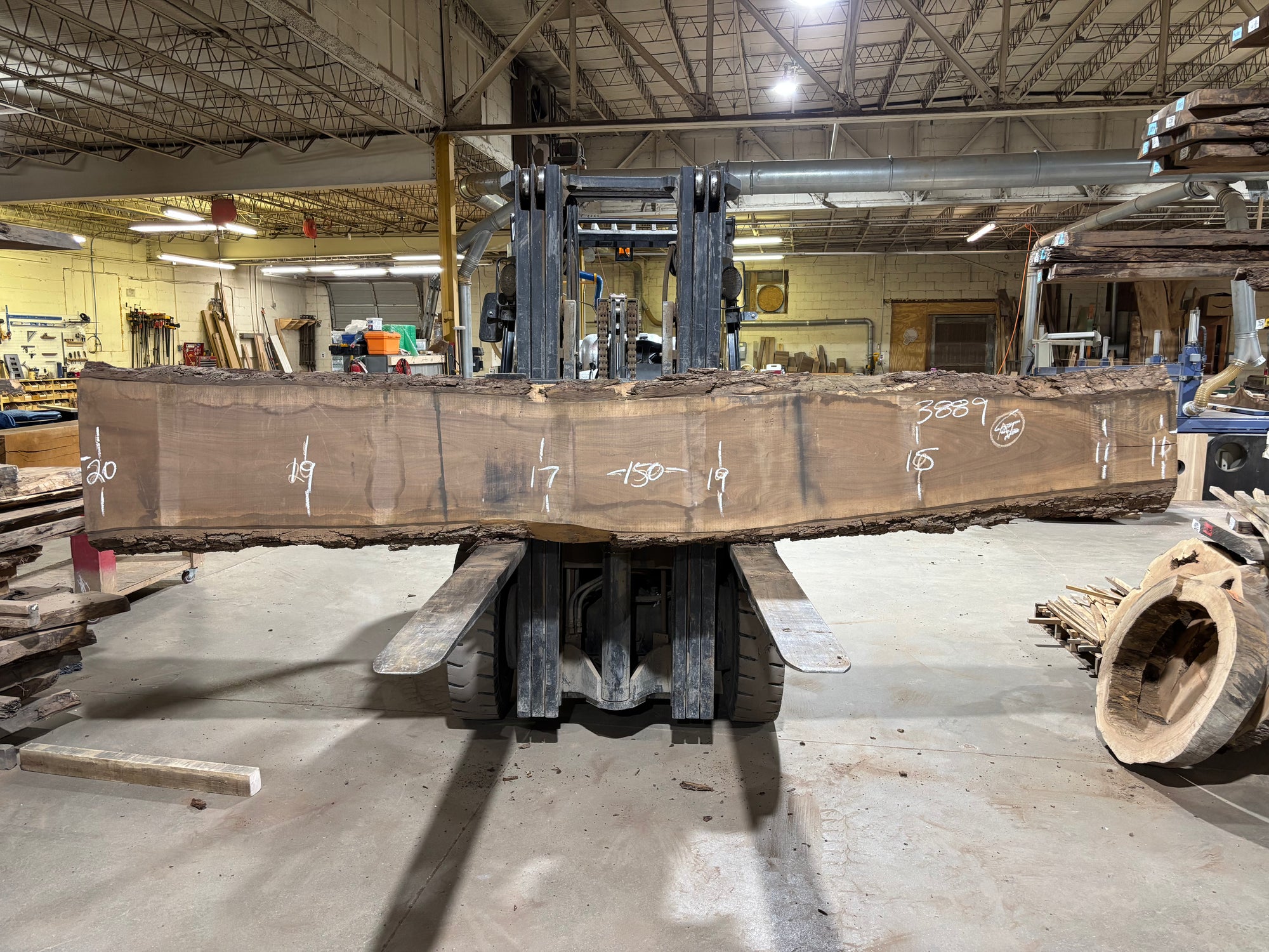 BLACK WALNUT (3889) 150” L x 11"-20” W x 3”