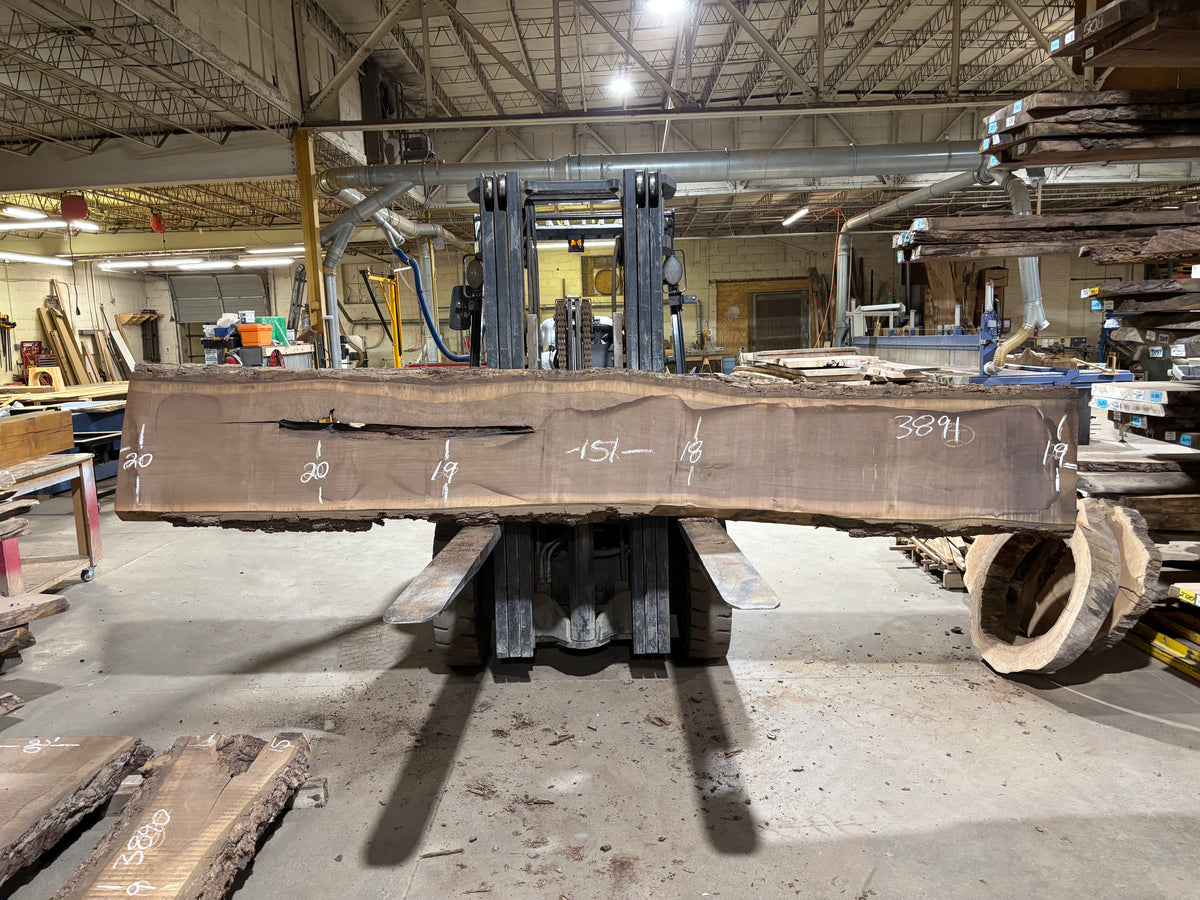 BLACK WALNUT (3891) 151” L x 18"-20” W x 3”