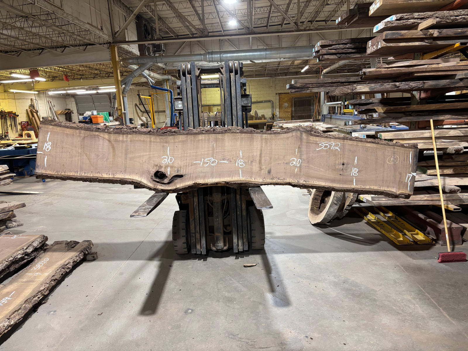 BLACK WALNUT (3892) 150” L x 17"-20” W x 3”