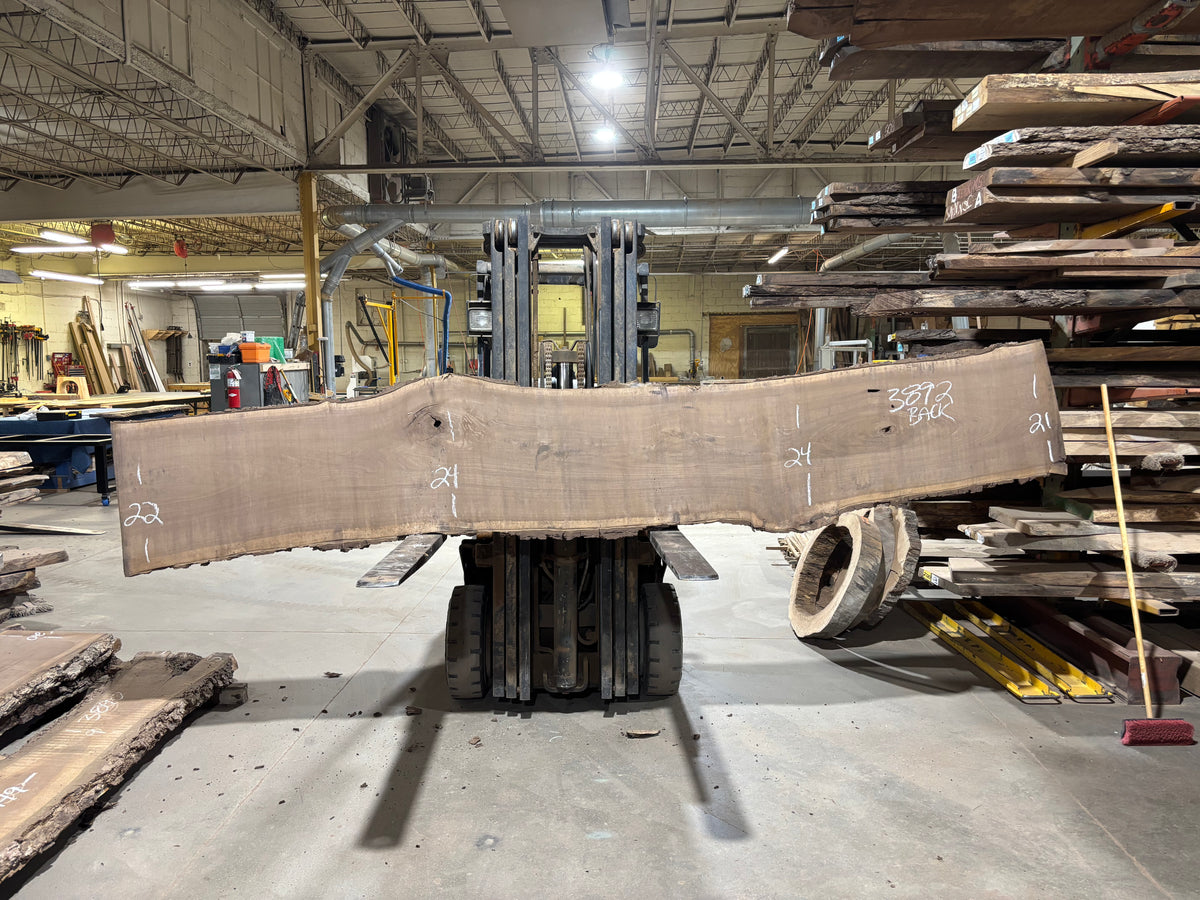 BLACK WALNUT (3892) 150” L x 17&quot;-20” W x 3”