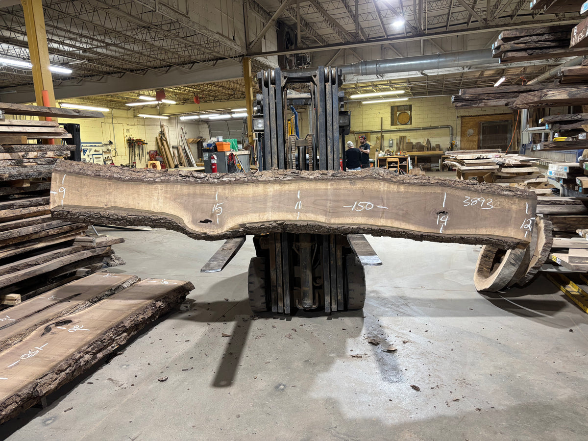 BLACK WALNUT (3893) 150” L x 9&quot;-15” W x 3”