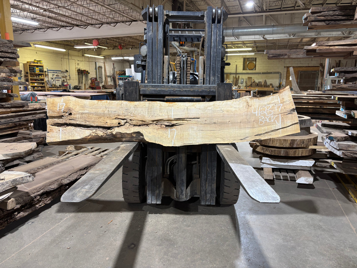 Maple - (4123) 96" L x 16-19" W x 2.5 T